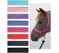Hy Holly Fully Adjustable Head Collar - Royal - Cob
