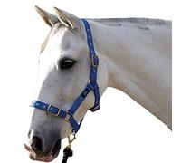 Hy Holly Fully Adjustable Head Collar - Royal - Pony