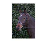 Hy Hunter Bridle with Rubber Grip Reins - Brown - Pony