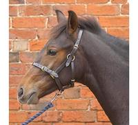 Hy Equestrian Leather Foal Head Collar - Black - Large