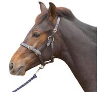 Hy Leather Foal Head Collar Black (Small)