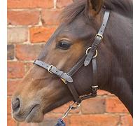 Hy Equestrian Leather Foal Head Collar - Brown - Large