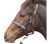Hy Leather Foal Head Collar Brown (Medium)