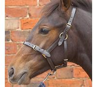 Hy Equestrian Leather Foal Head Collar - Brown - Small