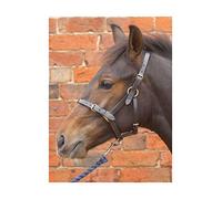 Hy Equestrian Leather Foal Head Collar - Brown - Extra Large