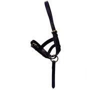 Hy Leather Foal Slip - Black - Large