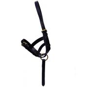Hy Leather Foal Slip - Black - Medium