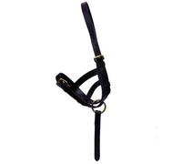 Hy Leather Foal Slip Brown (Medium)