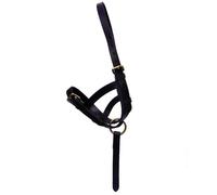 Hy Leather Foal Slip BZ350