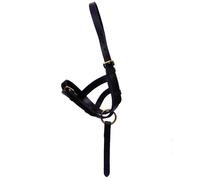 Hy Leather Foal Slip BZ350