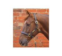 Battles Hy Leather Head Collar(Brown, Full)