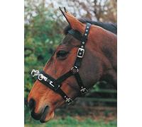 Hy Lunge Cavesson - Large (Black)