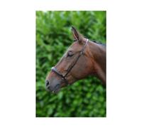 Hy Padded Drop Nose Band - Black - Pony