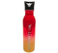 Liverpool F.C. 700ml Stainless Steel UV coated Sports Bottle, Red/Gold