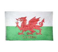 Hy-Pro Wales 5ft x 3ft supporters flag with brass grommets. 150cm x 90cm