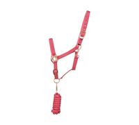 Hy Rose Gold Head Collar and Lead Rope - Blush Pink/Rose Gold - Full