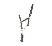 Hy Rose Gold Head Collar and Lead Rope - Grey/Rose Gold - Full