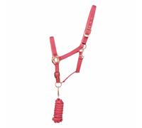 Hy Rose Gold Head Collar and Lead Rope - Blush Pink/Rose Gold - Pony