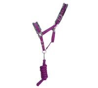 Hy Sport Active Head Collar and Lead Rope - Amethyst Purple - Full