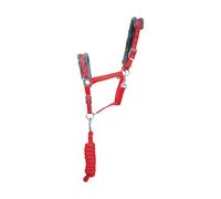 Hy Sport Active Head Collar and Lead Rope - Rosette Red - Pony