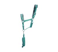 Hy Sport Active Head Collar And Rope Spearmint Green/grey (Pony)