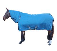 Hy Stormx Empra Combo Neck Horse Combo Turnout Rug Teal (5)