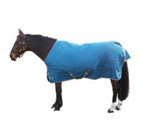 Hy Stormx Empra Standard-Neck Horse Turnout Rug Teal (4 9")