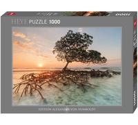 Red Mangrove