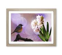 Hyacinth Throttle Bird Pink Flower Modern Framed Print | A3 Oak Framed Wall Art | Ready to Hang | Modern Floral Picture | Living Room Bedroom Lounge Office