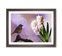 Hyacinth Throttle Bird Pink Flower Modern Framed Print | A4 Walnut Framed Wall Art | Ready to Hang | Modern Floral Picture | Living Room Bedroom Lounge Office