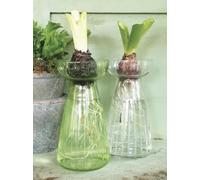 Hyacinth Vase, Spring Green Hyacinth Flower Bulb Glass Vase, Spring Bulb Vase Propagator Planter, Tall Green Glass Bud Flower Vase, Green Vase, Coloured Glass Vase, Stem Vase, Bud Vase