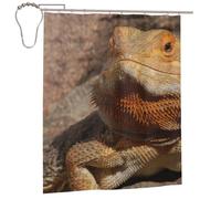 Hyaszst Bath Curtain Waterproof Fabric Home Decor Shower Curtains,Bearded Dragon
