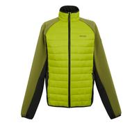 Regatta Clumber Iv Jacket Green 2XL Men