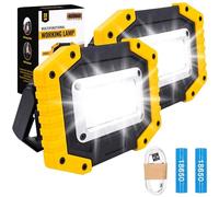 Hybrid Minds™ Rechargeable Work Light, 2 Pack Portable LED Floodlights | Outdoor Battery-Powered Lamp for Lofts, Sheds, Garages, Workshops, Attics and Emergencies with Flood and Spot Modes