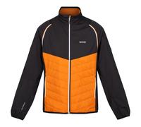 Regatta Steren Hybrid Softshell Jacket Orange 3XL Men