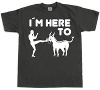 Hybris I'm Here To Kick Ass T-Shirt SH-1-15157-LFH2-5