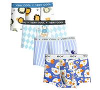 HYCLES Boys Boxer Shorts Cotton Dinosaur Pattern Boy Underwear Kids Underpants 4 Pack, 2-12 Years