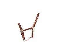 HyCONIC Head Collar (Mixed Colour Selection) - Black/Red - Cob