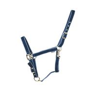 HyConic Head Collar (Navy/Blue, Cob)