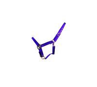 HyCONIC Head Collar (Single Colours) - Purple - Full