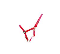 HyCONIC Head Collar (Single Colours) - Red - Full