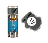 Hycote XDFD405 Ford Mercury Grey (Metallic) Spray Paint (1 Pack)