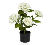 HYDRANGEA - Artificial plant Green/White