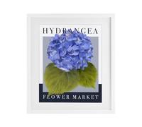 Hydrangea Flower Market Botanical, 17 x 21 Inch Framed Print Under Glass