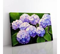 Hydrangea Flower View Vol.1 Canvas Wall Art Print Ready to Hang, Framed Picture for Living Room Bedroom Home Office Décor, 50x35 cm (20x14 Inch)