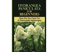 Hydrangea Paniculata For Beginners: How Do You Care For A Paniculata Hydrangea: How To Grow Hydrangea Paniculata At Home