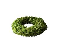 Hydrangea Wreath Light Green