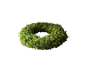 Hydrangea Wreath Light Green