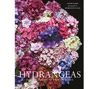 Hydrangeas : Beautiful Varieties for Home and Garden