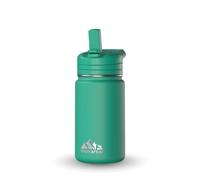 Hydrapeak 14 Oz Mini Water Bottle with Straw Lid, Insulated Stainless Steel (Kelly Green)